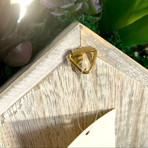 Birdhouse with succulent plant wall decor - Picture 4 of 6